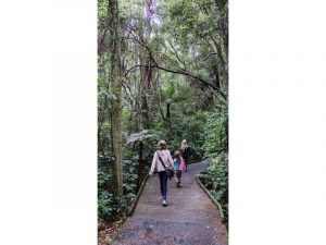 Kapiti Bush Walk | Kapiti Tour October 2021 | Notable Tours