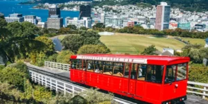 Cable Car | Wellington | Notable Tours